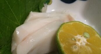 【南大東島⑧】珍味「インガンダルマ」と「ナワキリ」をいただく！「夕日の広場」でサンセットも見たい～南大東島旅行記～（夕日と珍味の章）