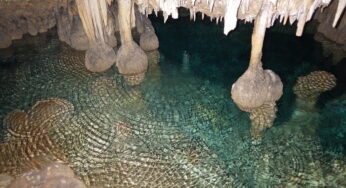 【南大東島⑥】地底湖探検ツアーは一生モノのネタ！ガチの冒険、ここでしか体験できない魅力にせまる～南大東島旅行記～（地底湖探検の章）