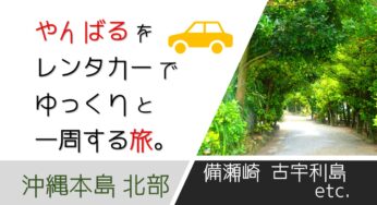 沖縄本島 北部｜やんばるをレンタカーで移動しながら一日をゆっくり過ごしてみた旅ブログ。（瀬良垣ハイアット｜恩納村発着）