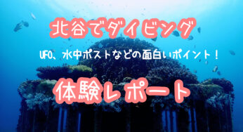 沖縄北谷｜ダイビングでUFOと水中ポストを見た！フォトジェニックな砂辺浄水場前ポイント