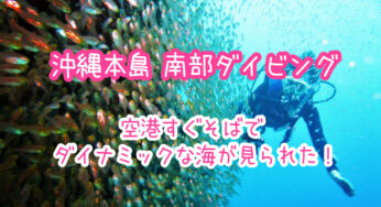沖縄南部ダイビング｜那覇空港すぐ近く、こんなダイナミックなポイントが！着後エントリー可